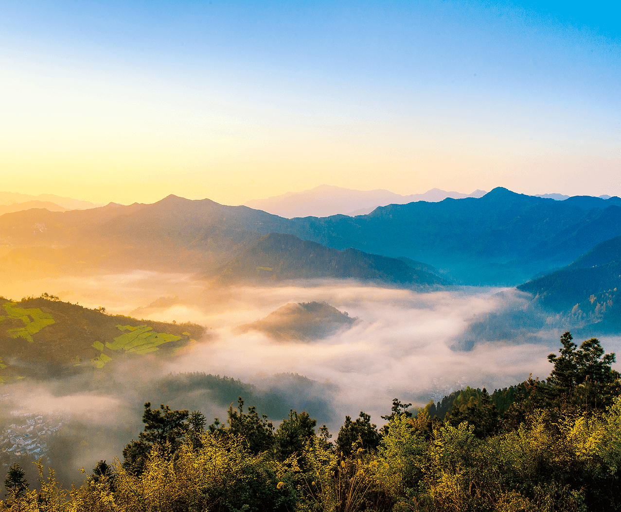 ca88手机客户端(安卓/苹果)CA88会员登录入口